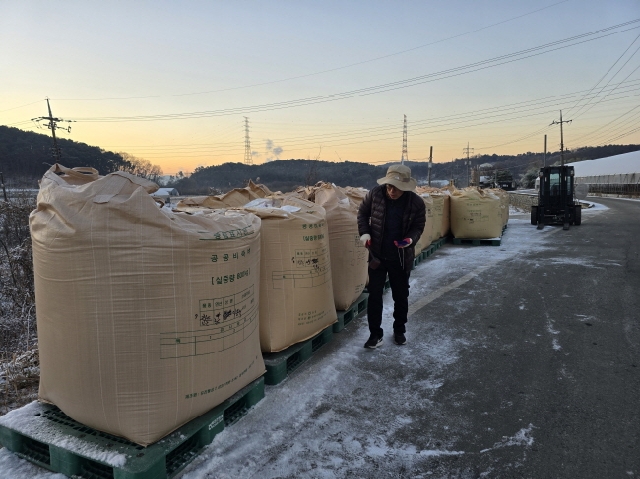 수매 대표 이미지